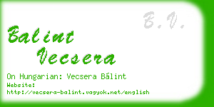 balint vecsera business card